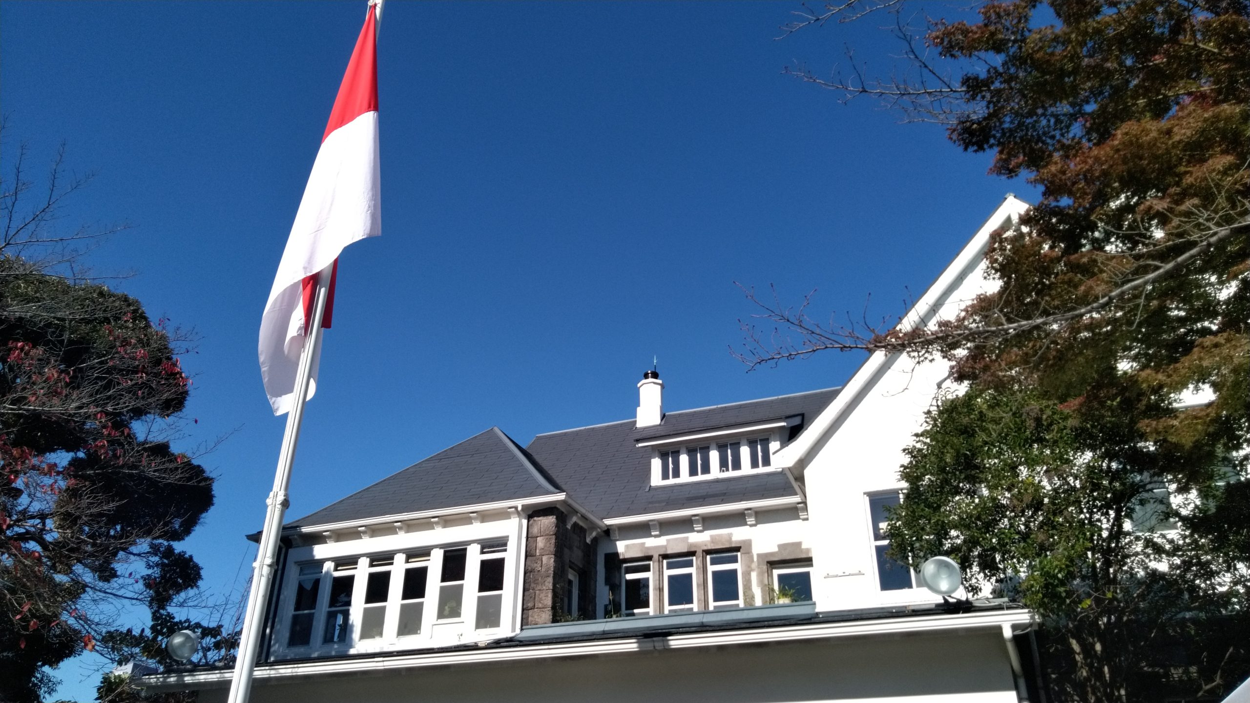 P_20211125_114523-scaled.jpg